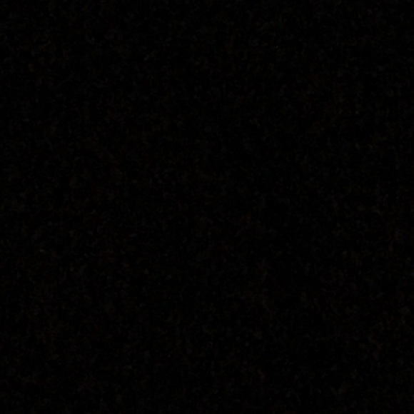 Meet your Posher, Bee - Picture 1 of 1